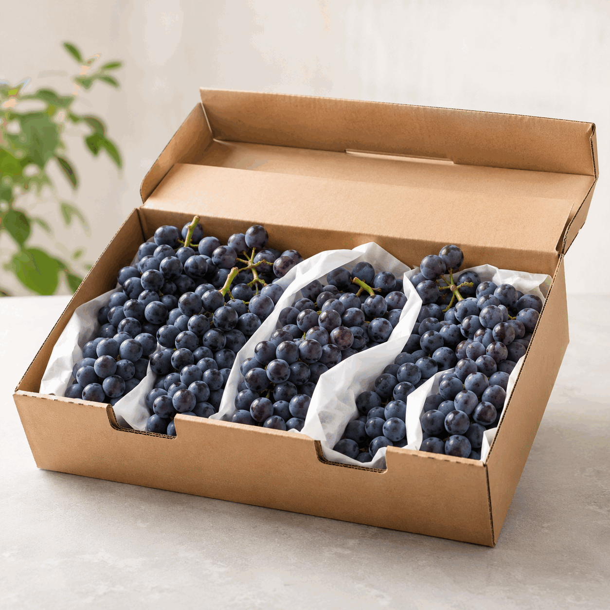 Fresh Grapes
